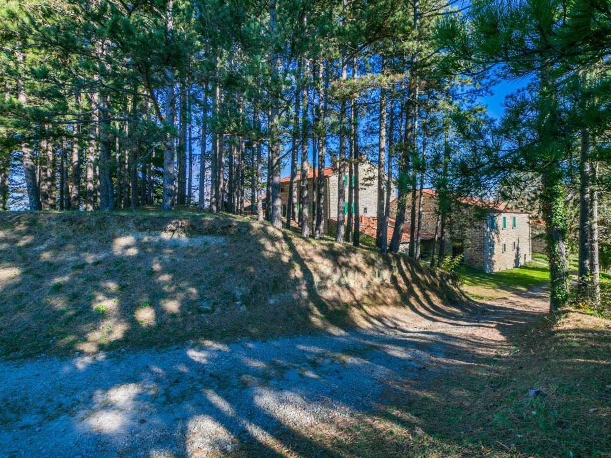 Holiday Home Al Volo Del Nibbio By Interhome Marradi Ngoại thất bức ảnh